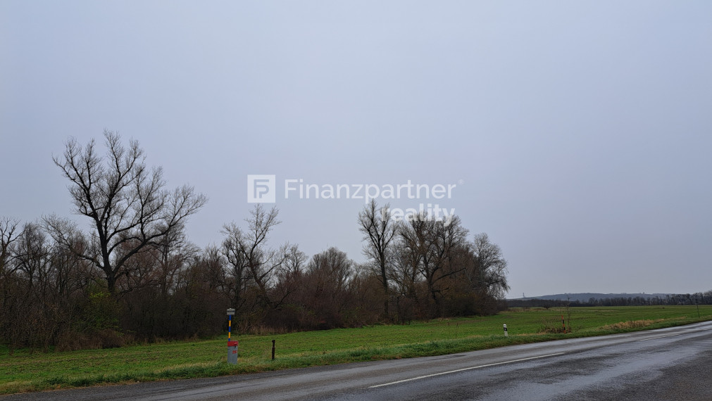 Investičná príležitosť - orná pôda pri hlavnej ceste Hlohovec - Šulekovo