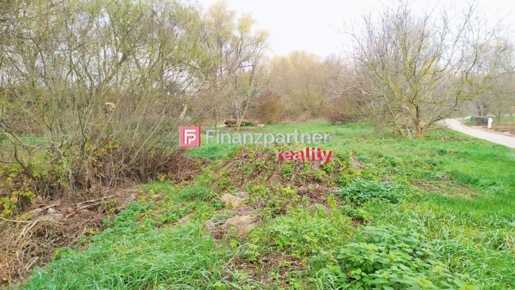 Pozemok v Nižnej Hutke na rekreačné účely (dohoda možná)