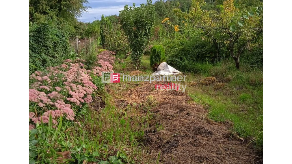 Predaj - záhrada v Dúbravke- znížená cena.