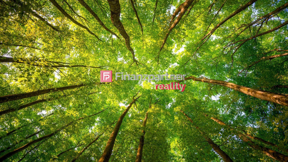 Na predaj lesný pozemok o rozlohe 30 ha cena 0,75 €/m2