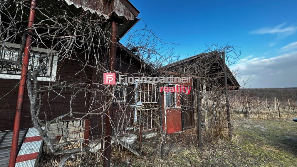 Predaj vinice s chatkou v obci Viničky, okres Trebišov