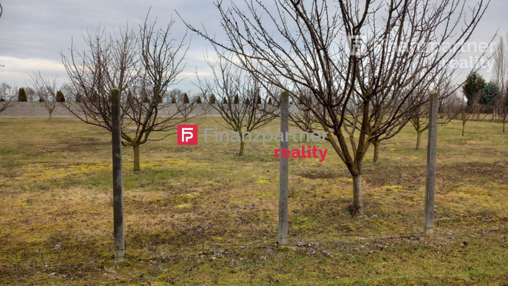 Predaj rozsiahleho pozemku priamo pri Malom Dunaji v Jahodnej