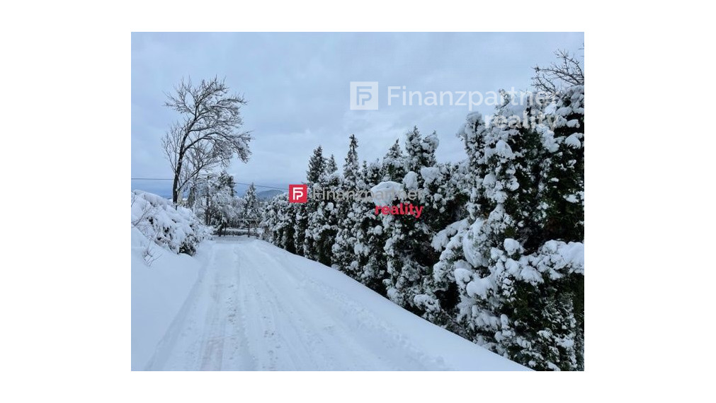 So sekundovým prístupom na D1: štyridsaťtri x dvadsaťšesť (F577-14-ANMi)