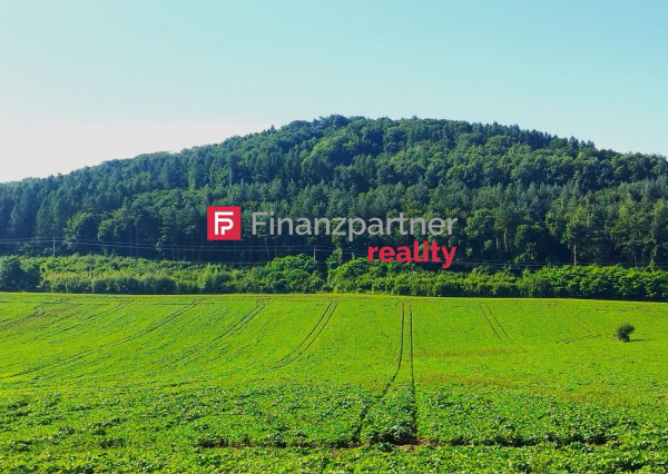 Pozemok na predaj - Hažín n./Cirochou