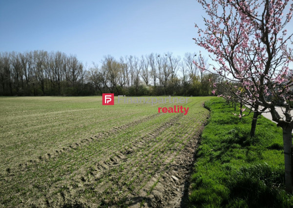 INVESTIČNÁ PRÍLEŽITOSŤ – Pozemok 9 202 m² na okraji obce