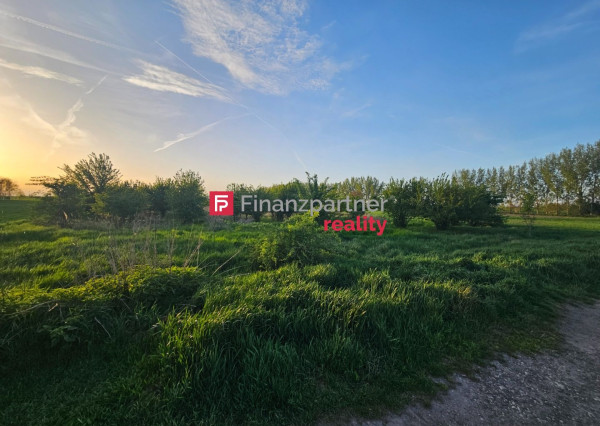 Na predaj veľkometrážny pozemok  v obci Trnávka neďaleko Šamorína