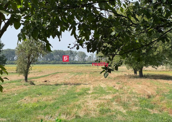 NOVINKA Na predaj: Orná pôda v obci Dojč, okres Senica