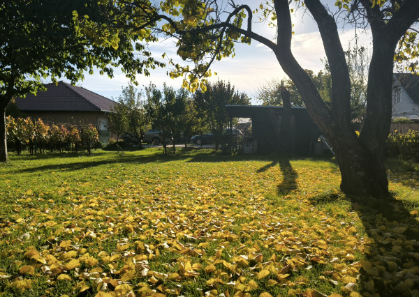 Na predaj stavebný pozemok – Malý Máger, obec Nový Život