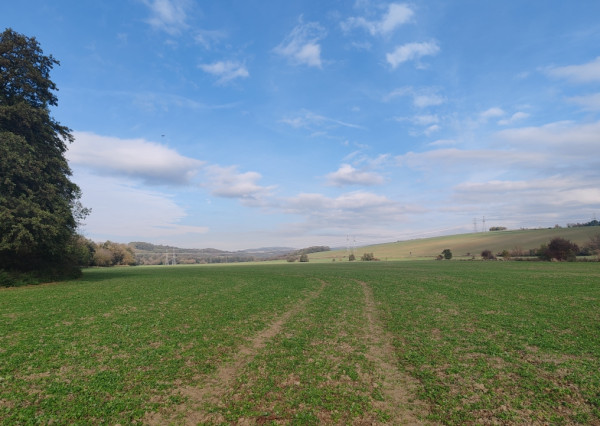 Na predaj pozemok trvalý trávnatý porast Prietrž