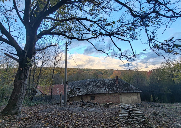 NOVINKA! Dom na samote v lese-pokoj, ticho Stará Turá