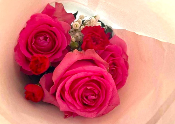 Ružový 6 árový pozemok v Širokom (F686-14-ANMi)