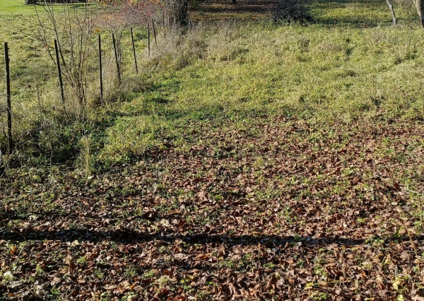 Na predaj pozemok v obci Kečkovce