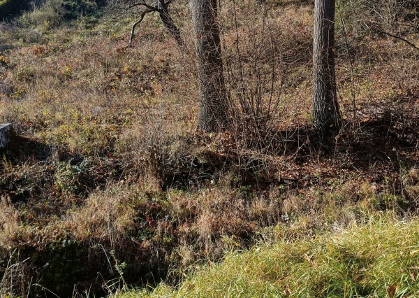 Na predaj pozemok v obci Kečkovce