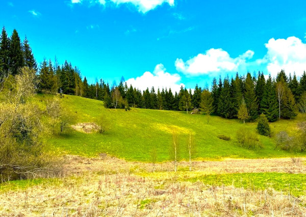 Pozemok v lone prírody – 1,2 ha, Lom nad Rimavicou