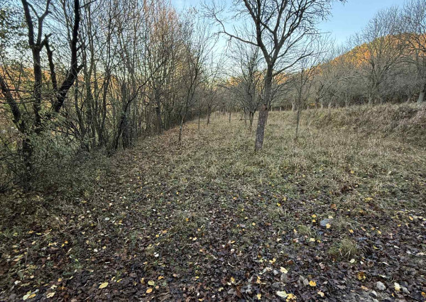 NOVINKA! NA PREDAJ slnečný pozemok Bzince pod Javorinou