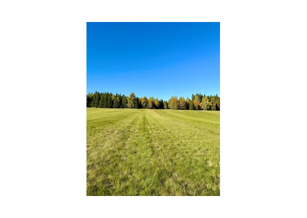 Stavebné pozemky - 110 000 m2 - Lom nad Rimavicou