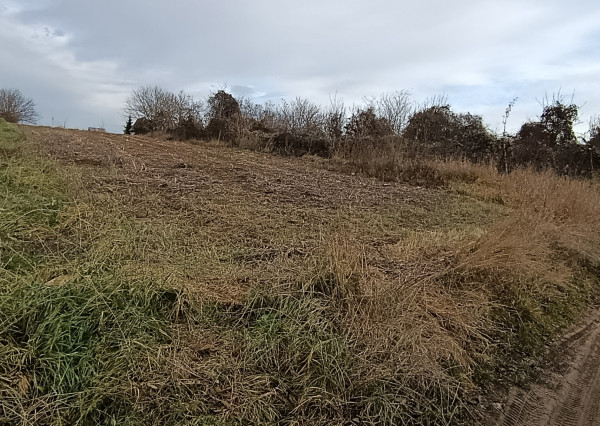 Rekreačný pozemok, 18 árov, obec Čechynce, okres Nitra