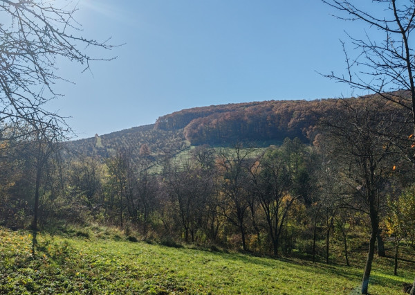 NOVINKA! Na predaj jedinečný pozemok v Podkylave , 2218 m2