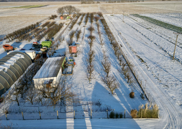 Exkluzívne na predaj ovocný sad 6435m² v obci Jahodná