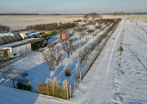 Exkluzívne na predaj ovocný sad 6435m² v obci Jahodná