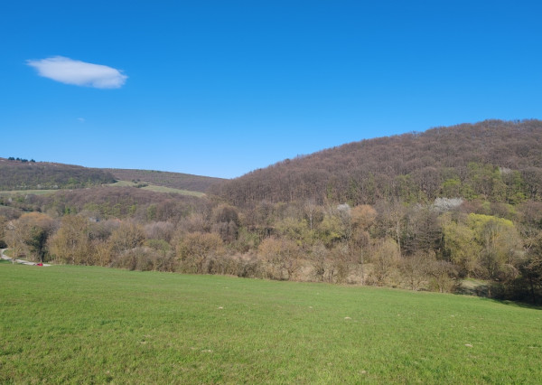 NOVINKA! Na predaj pozemok s výhľadom PODKYLAVA