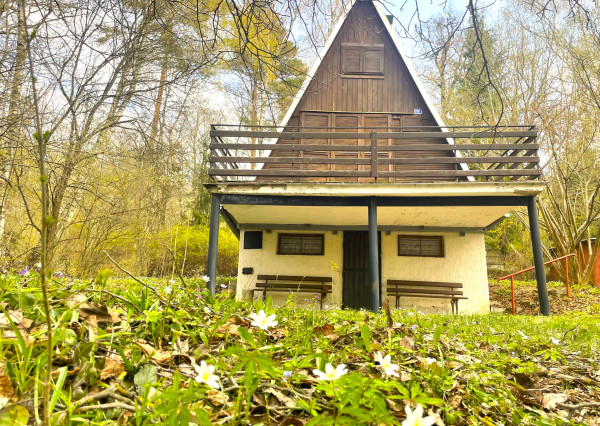 Nová ponuka-chata v lese: 