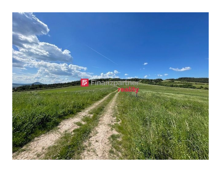 IN vestično-stavebný pozemok v Podhoranoch (F459-14-ANM)