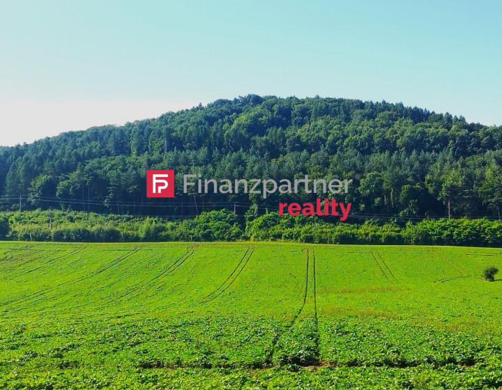 Pozemok na predaj - Hažín n./Cirochou