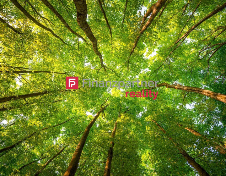 Na predaj lesný pozemok o rozlohe 30 ha cena 0,75 €/m2