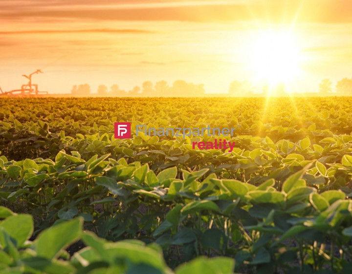 Na predaj priemyselný pozemok so stavebným povolením