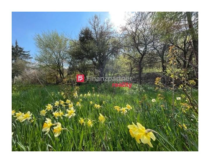 Originálny pozemok s IS a prístup. cestou - lipová - Kanaš (F563-14-ANMi)