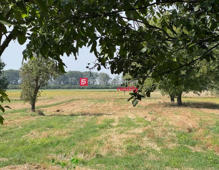 NOVINKA Na predaj: Orná pôda v obci Dojč, okres Senica