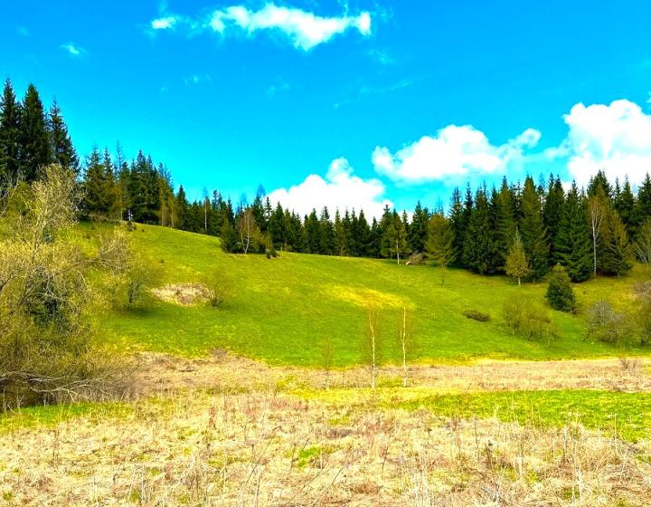 Pozemok v lone prírody – 1,2 ha, Lom nad Rimavicou