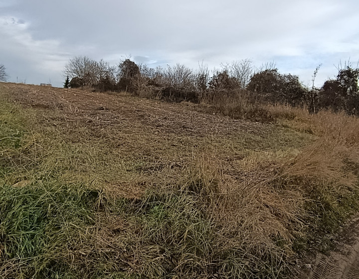 Rekreačný pozemok, 18 árov, obec Čechynce, okres Nitra