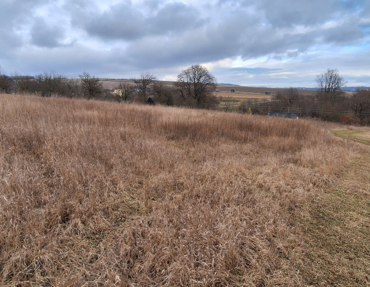 (F005-014-MAPOa)Orná pôda 3 058m² Myjava-Brestovec/Kržle