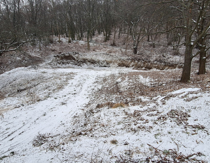 (F008-014-MAPOa)Predám pozemok 3,536m²Dolné Orešany / Trnava