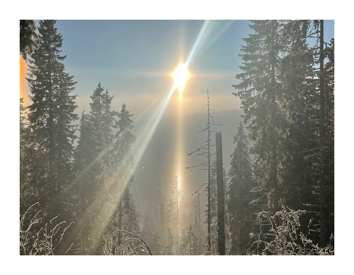 KA pozemok 12km od PO (F673-14-ANMi)