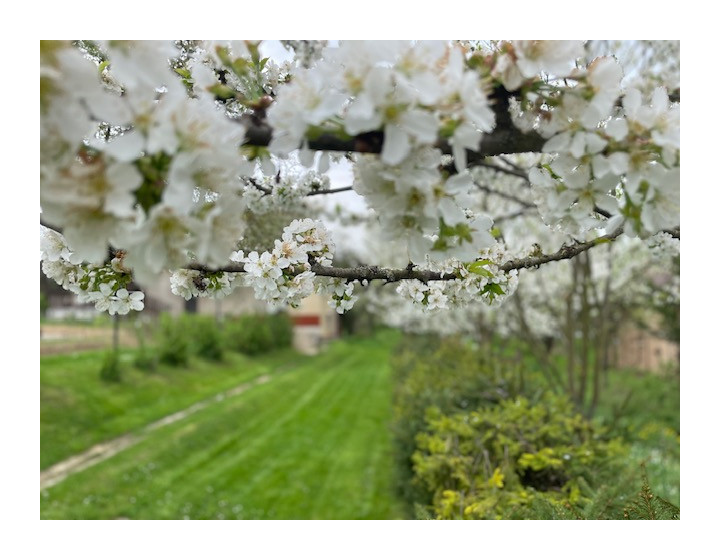 5x stavebné pozemky S,M,XL - dá sa stavať hneď (F728-14-ANM)