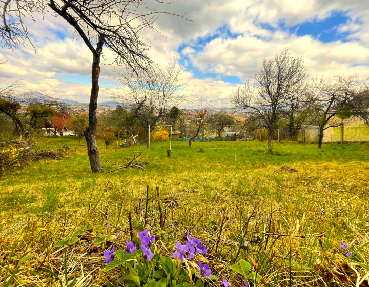 Na kalvárii 5-árový pozemok s elektrinou (F735-13-ANM)