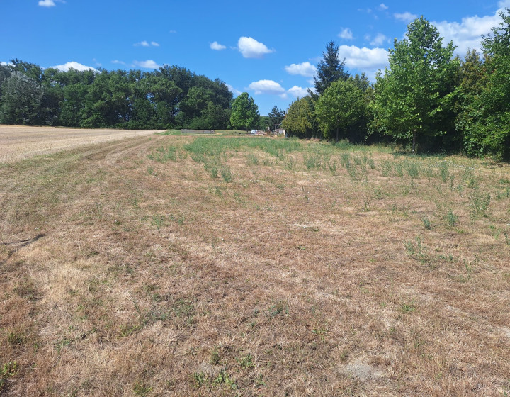 Stavebný pozemok 1000 m², Galanta