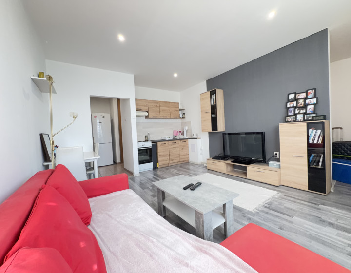 Zariadený 1,5-izbový byt s balkónom – Suchá nad Parnou