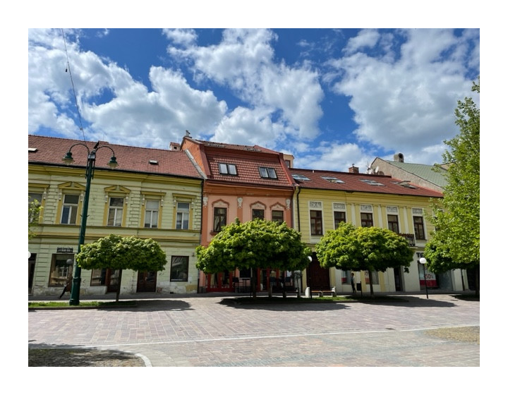 Impozantný 2izb byt prenájom-Hlavná-1xdepozit-F818-212-ANM