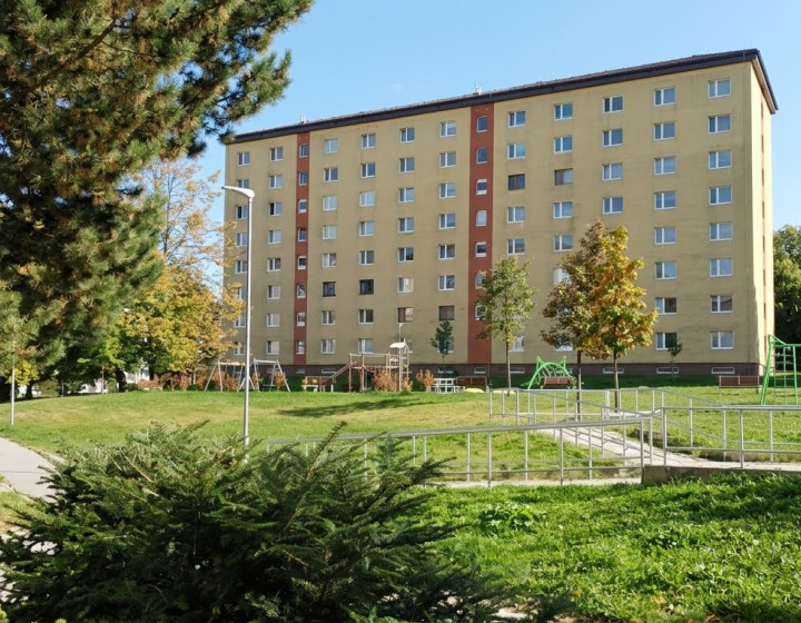 Investičný byt s dobrou polohou v SL.  / F250-113-ALPO/