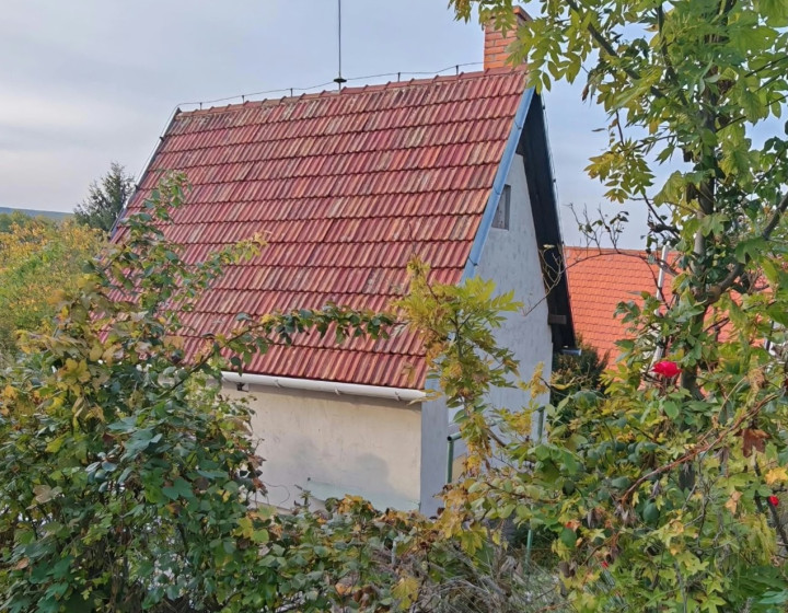 PREDAJ celoročná 3 poschodová chata Kynek, Nitra + 3D