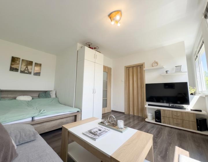 1izbový bauring na predaj, Poštová, Trnava, 29m²