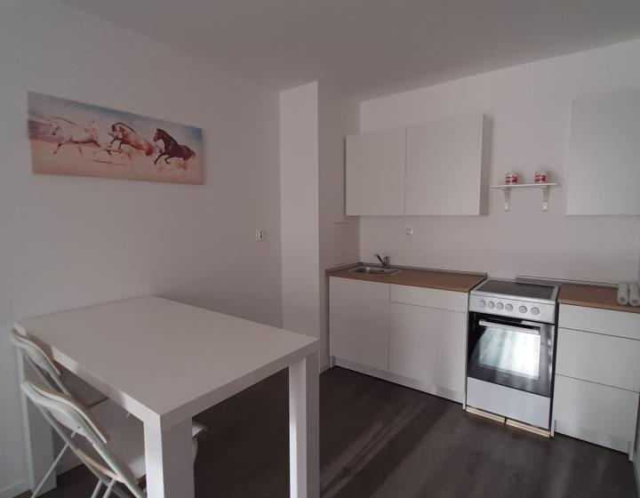 PRENÁJOM - zariadený, 2 izbový byt so záhradkou, Nitra