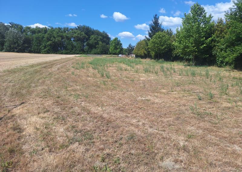 Stavebný pozemok 1000 m², Galanta