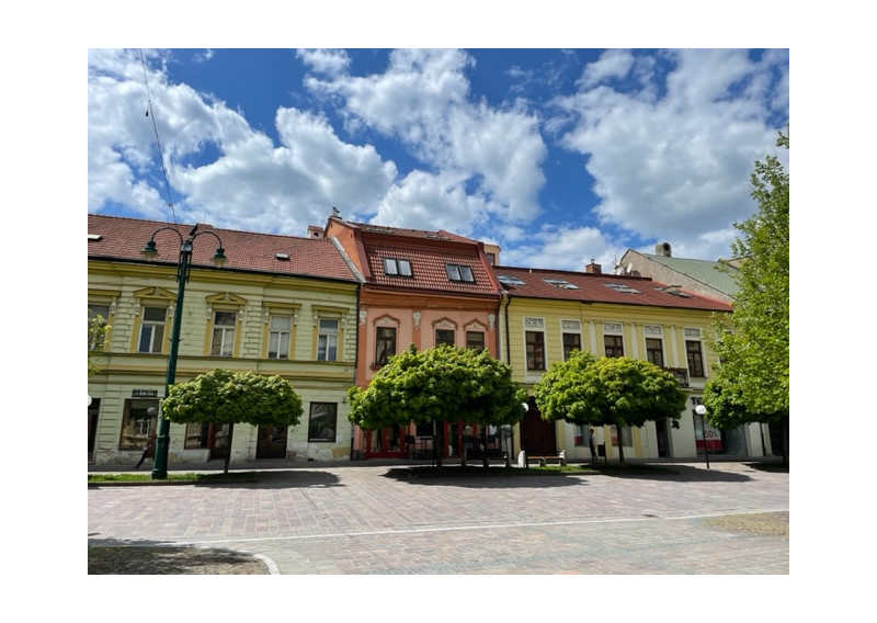 2izb podkrovný byt na prenájom-Hlavná-1depozit (F818-12-ANM)